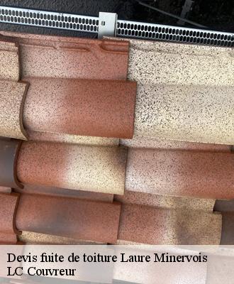 Devis fuite de toiture