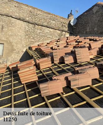 Devis fuite de toiture