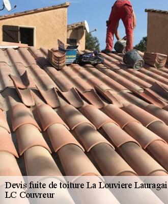 Devis fuite de toiture