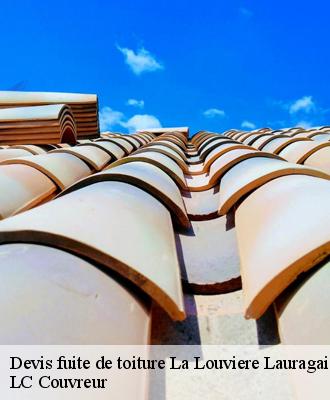Devis fuite de toiture