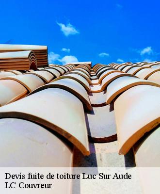 Devis fuite de toiture
