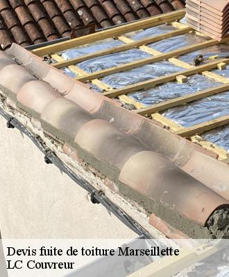 Devis fuite de toiture