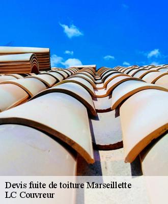 Devis fuite de toiture
