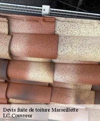 Devis fuite de toiture