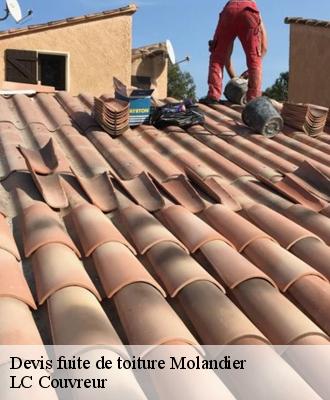Devis fuite de toiture