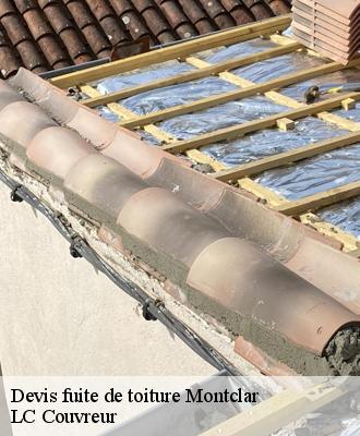 Devis fuite de toiture