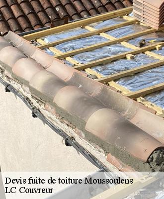 Devis fuite de toiture
