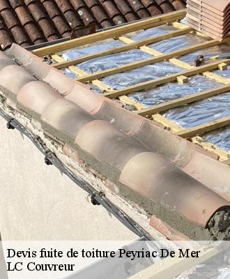 Devis fuite de toiture