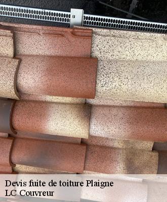 Devis fuite de toiture