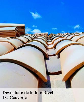 Devis fuite de toiture