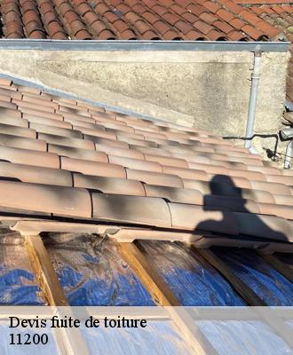 Devis fuite de toiture