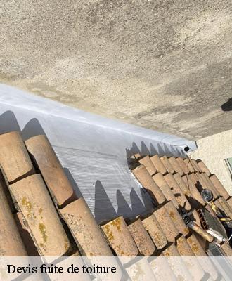 Devis fuite de toiture