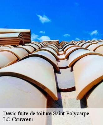 Devis fuite de toiture