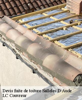 Devis fuite de toiture