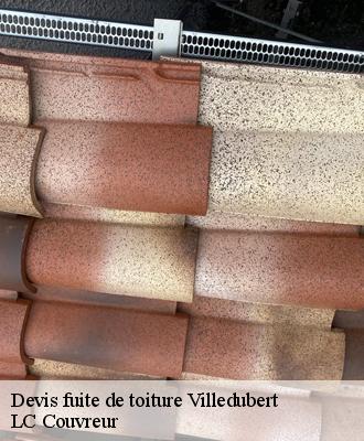 Devis fuite de toiture