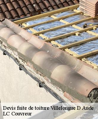 Devis fuite de toiture