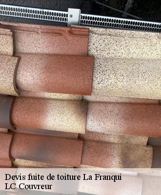 Devis fuite de toiture