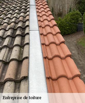 Entreprise de toiture