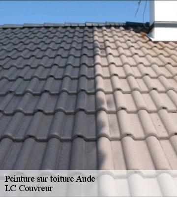 Peinture sur toiture