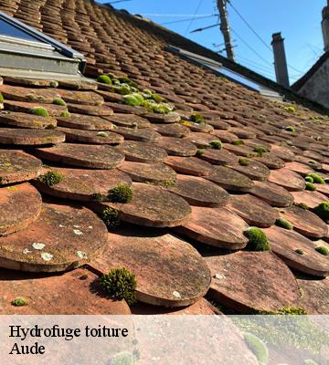 Hydrofuge toiture