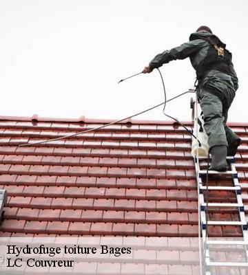 Hydrofuge toiture