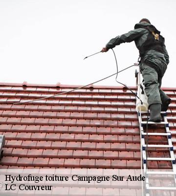 Hydrofuge toiture