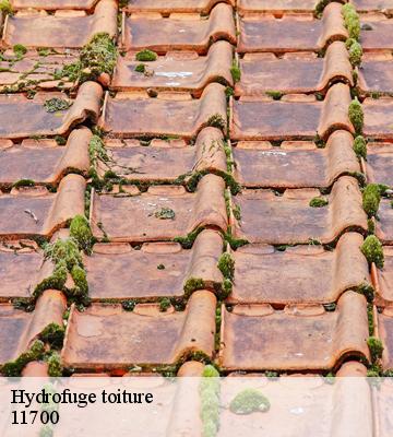 Hydrofuge toiture