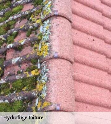 Hydrofuge toiture
