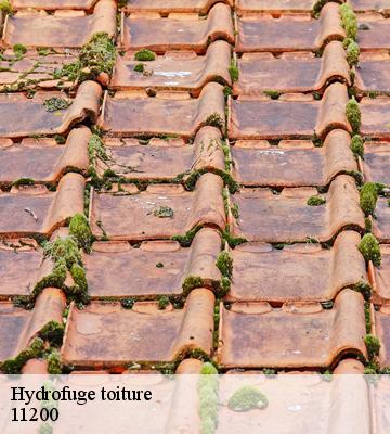 Hydrofuge toiture