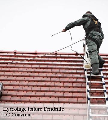 Hydrofuge toiture