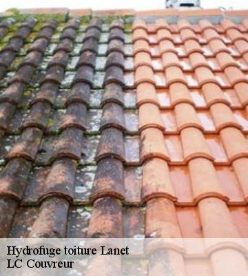 Hydrofuge toiture