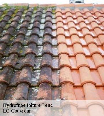 Hydrofuge toiture