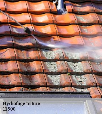 Hydrofuge toiture