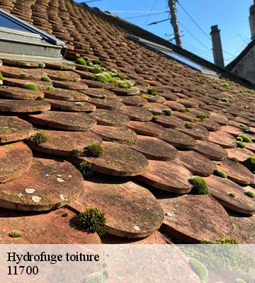 Hydrofuge toiture