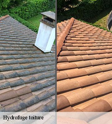 Hydrofuge toiture