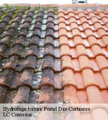 Hydrofuge toiture