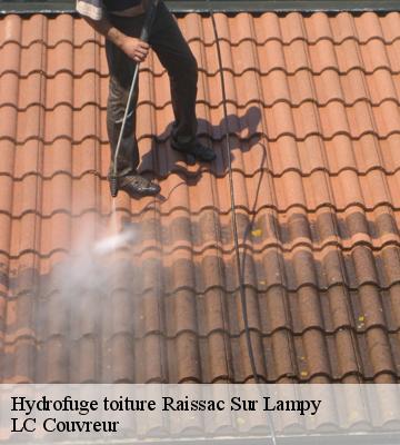 Hydrofuge toiture