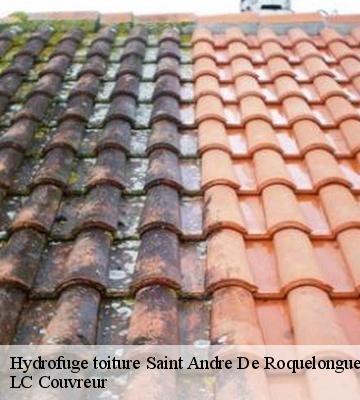 Hydrofuge toiture