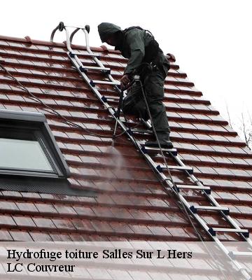 Hydrofuge toiture
