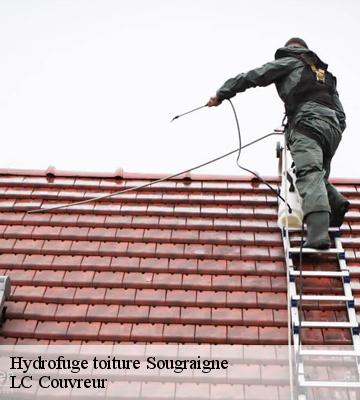 Hydrofuge toiture