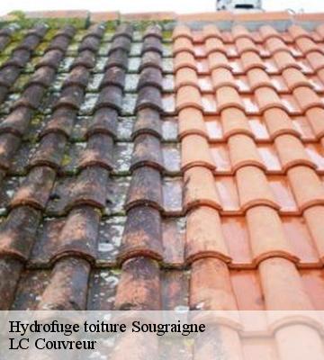 Hydrofuge toiture