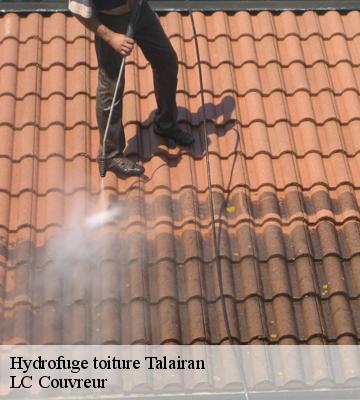 Hydrofuge toiture