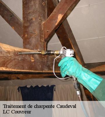 Traitement de charpente