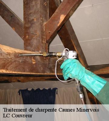 Traitement de charpente