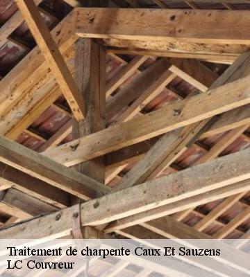 Traitement de charpente
