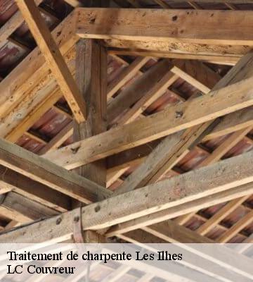 Traitement de charpente