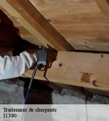 Traitement de charpente