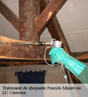 Traitement de charpente