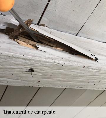 Traitement de charpente