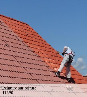Peinture sur toiture